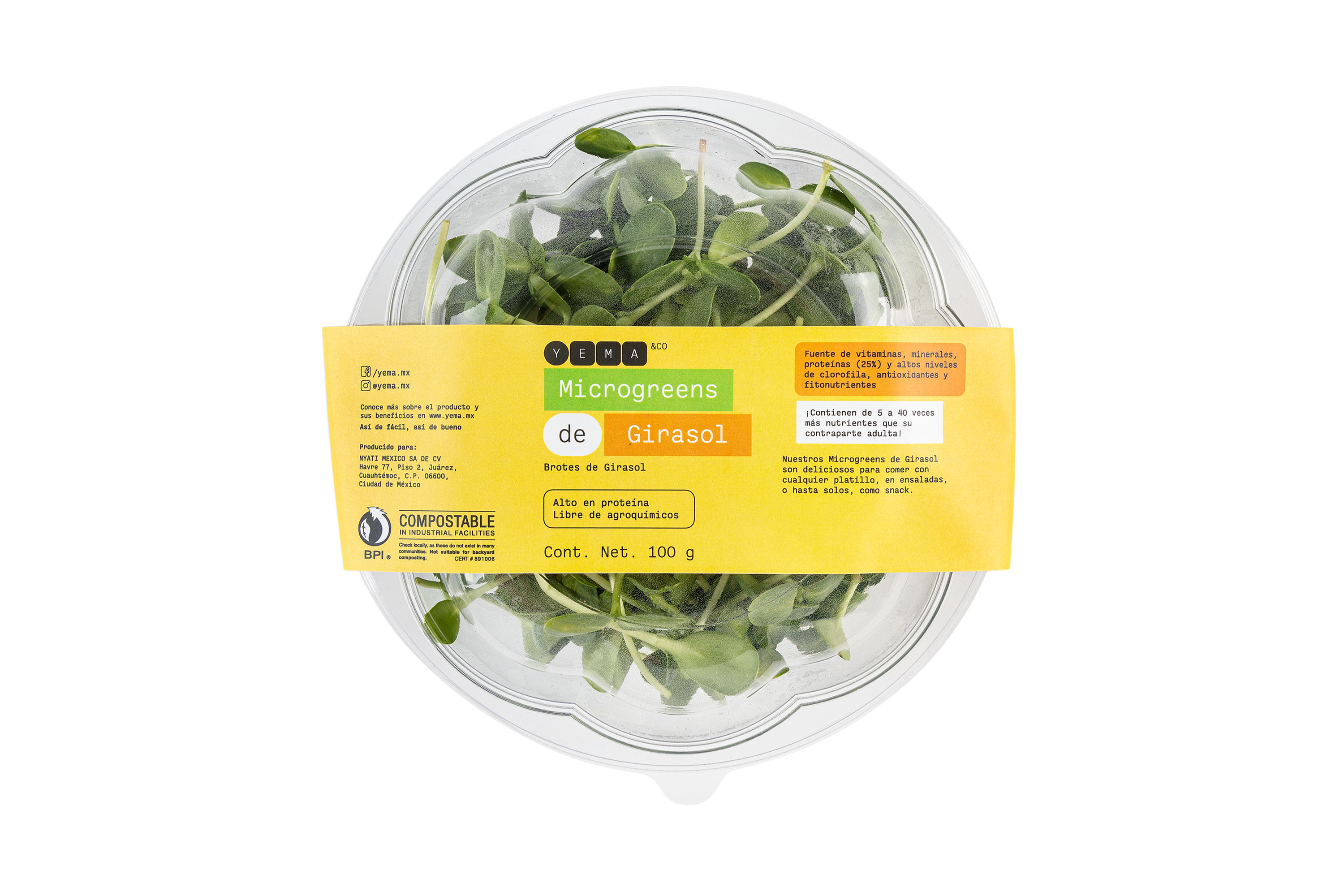 Microgreens de Girasol | YEMA